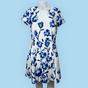 ELIZA J
Floral Fit & Flare Dress Blue and White size 12